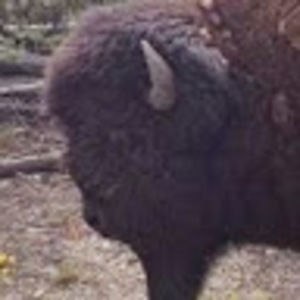 Meet your Posher, Jeff